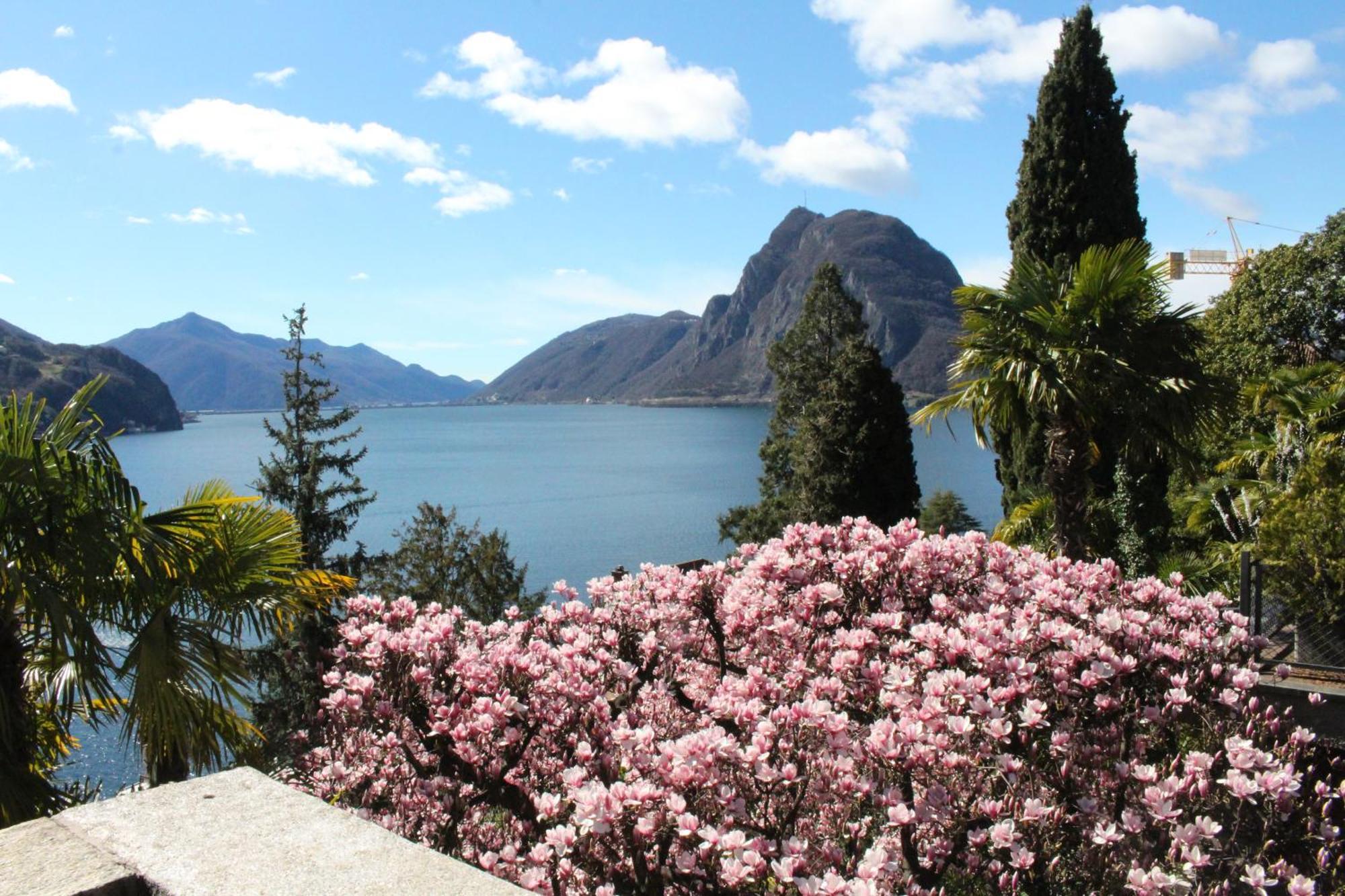 Barony Le Pergole Holiday Apartments Lugano Bagian luar foto