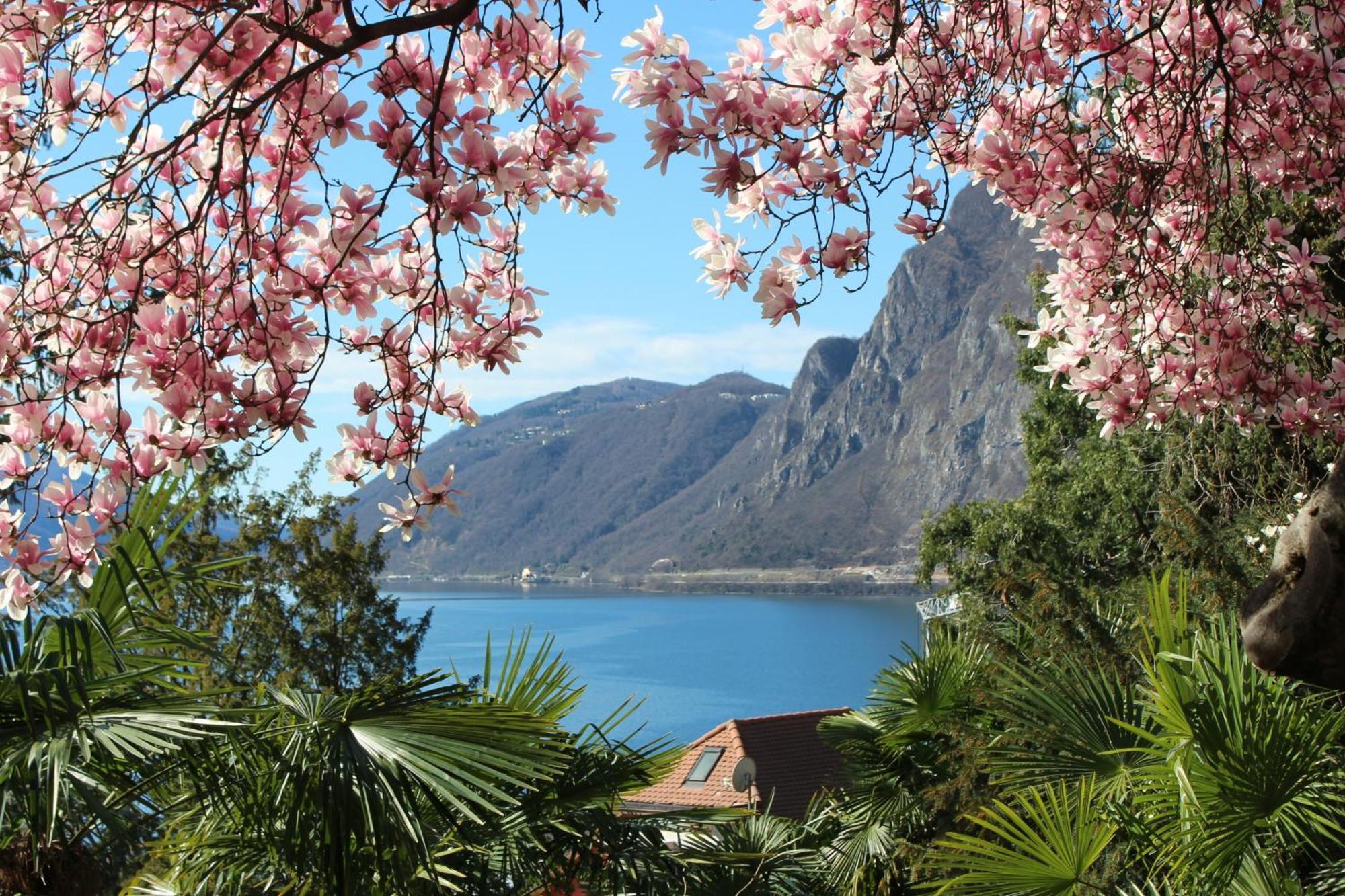 Barony Le Pergole Holiday Apartments Lugano Bagian luar foto